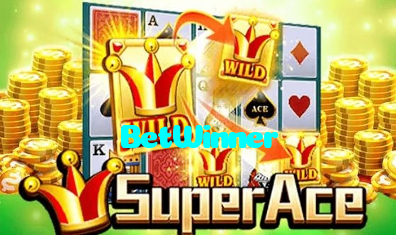 available types of BetWinner bet including pre-match live express and system bets